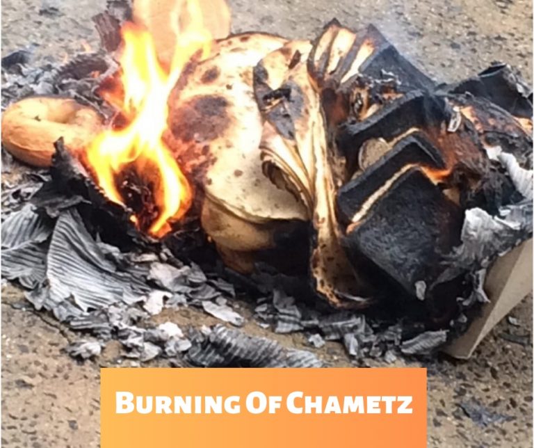 What Is Chametz? Rabbi Lewin