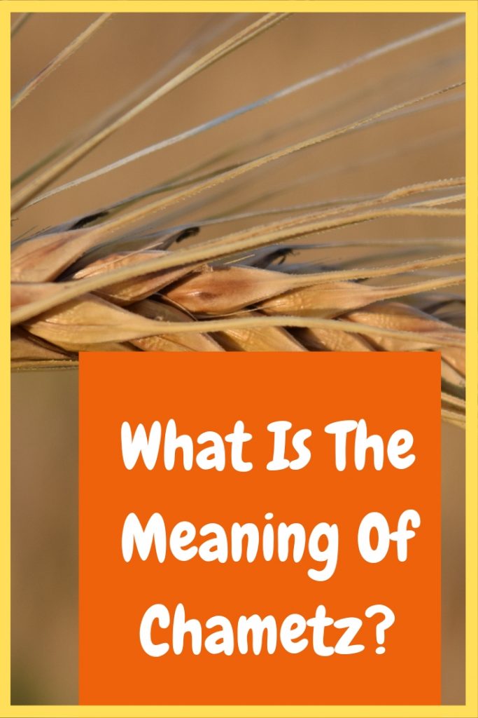 What is the meaning of chametz
