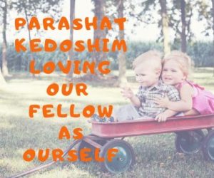 Parashat Kedoshim-Holiness In Action