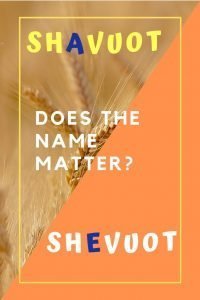 Shavuot book of Ruth