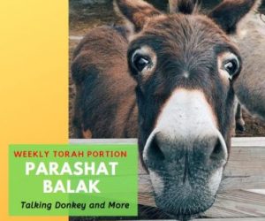 Parashat Balak Have You Been Played?
