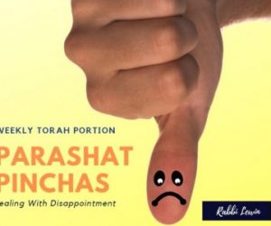Parashat Pinchas- So You Missed Out On The Job- Now What?