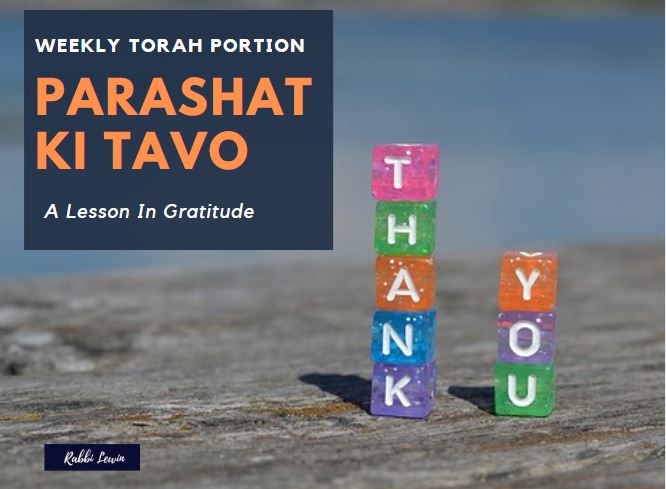 You are currently viewing Parashat Ki Tavo Lessons In Gratitude