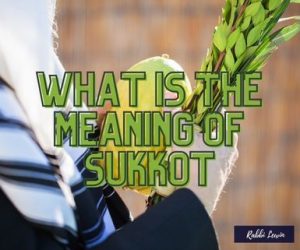 What Does Sukkot Mean?