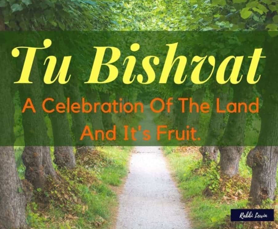 You are currently viewing Tu Bishvat – A Celebration Of The Land And It’s Fruit.