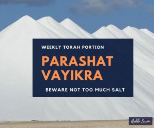 Parshat Vayikra – Beware Not Too Much Salt.