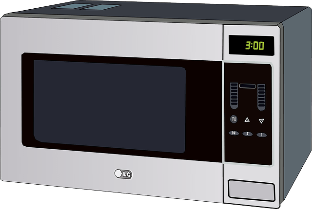 kashering the microwave