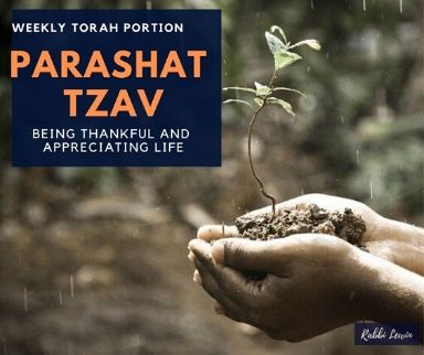 You are currently viewing Parashat Tzav Being Thankful and Appreciating Life